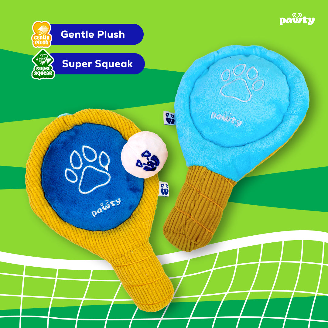Pickleball Set