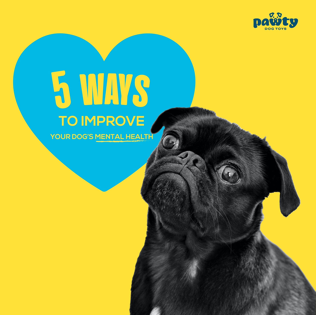 5 Ways to Improve Your Dog's Mental Health: A Guide for Pet Parents