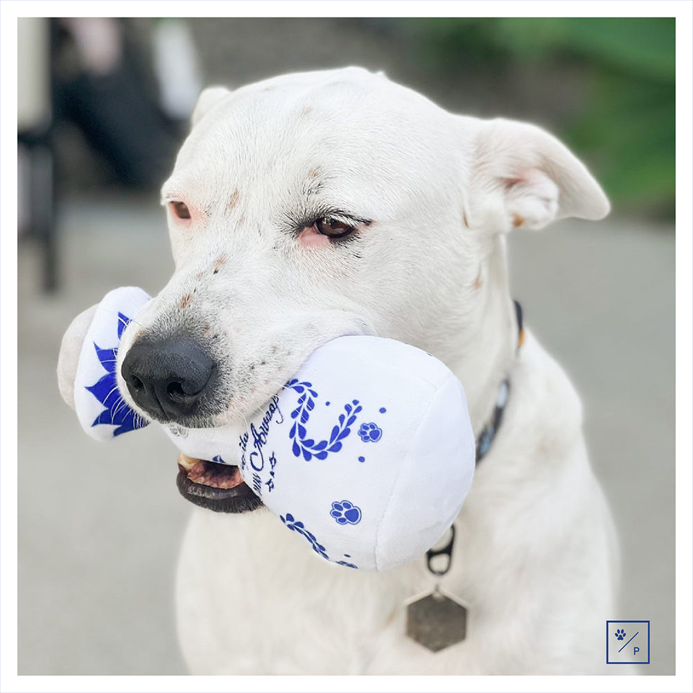 The Importance of Playtime for Your Furry Friend: How PAWTY Dog Toys Can Help