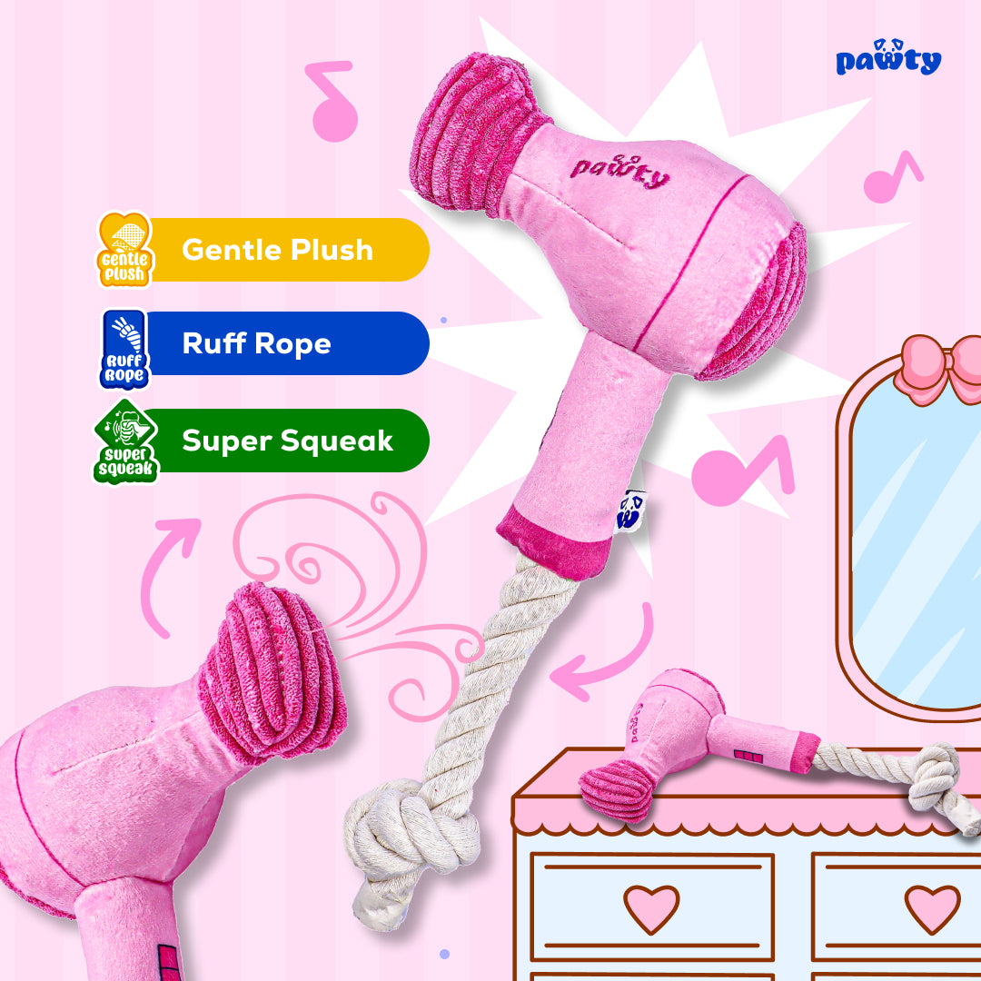 Hair Dryer